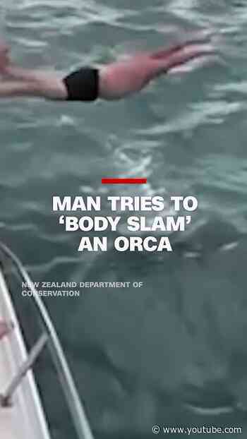 ‘I touched it!’: New Zealand man fined after trying to ‘body slam’ an orca