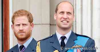 Royal wedding move 'final nail in the coffin' for Prince Harry and William's relationship
