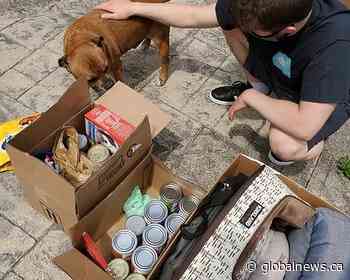 Pet food banks see dwindling donations, rising need across B.C.