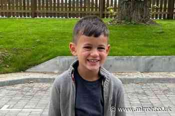 Van driver fled after fatally hitting boy, 7, as he walked into road to fetch football