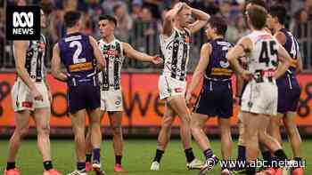 'You're not allowed to do that': Collingwood 'confused' over late free kick