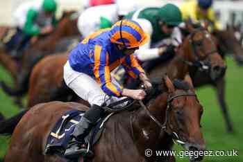 Hannon happy with Irish 2,000 Guineas contenders