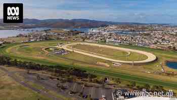 Ambitious Hobart AFL stadium bid at Elwick racecourse by Melbourne developer fails to clear starting gate