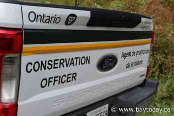 6 men plead guilty to overfishing walleye in Cochrane area