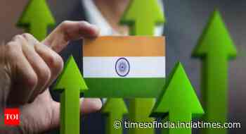 'Macro buffers to help India navigate global headwinds'
