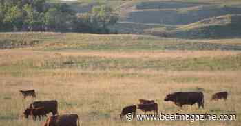 Predicted hot, dry summer could impact forage production