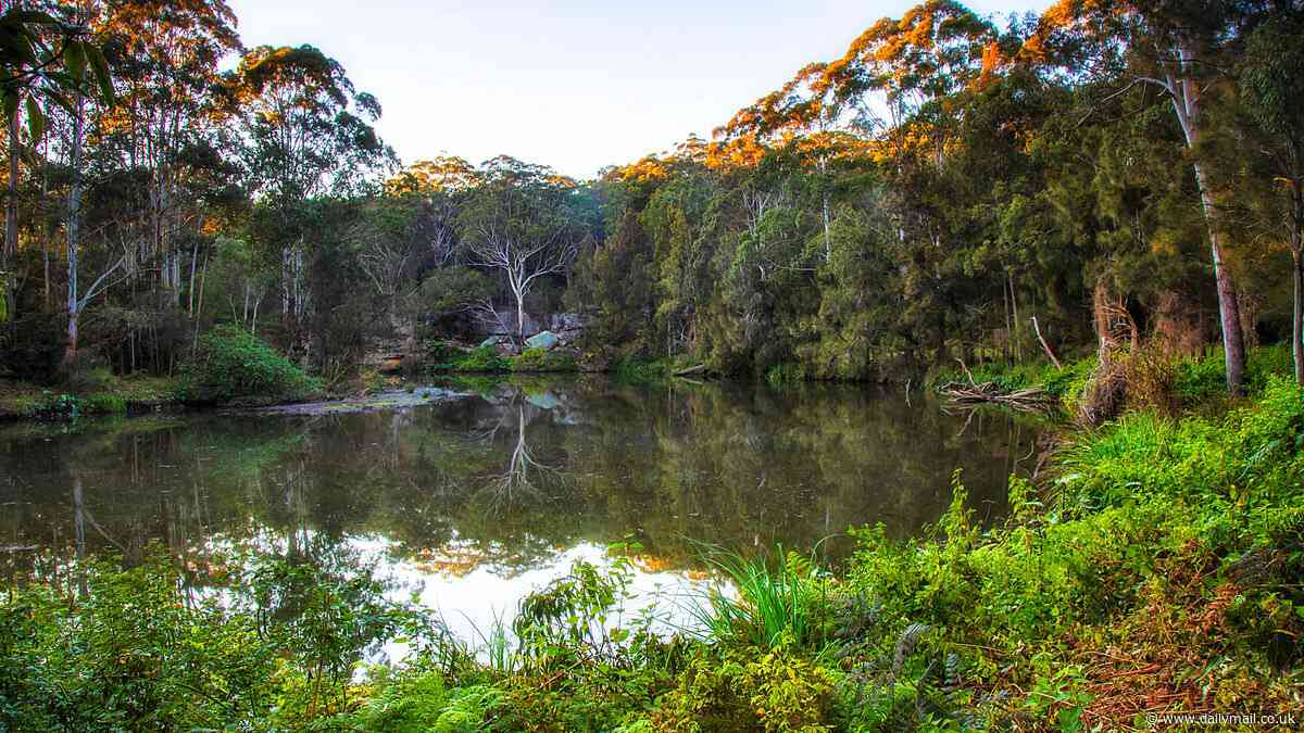 Lane Cove River: Body of man aged in his 50s found in Sydney river
