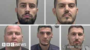 Five jailed after cannabis growing network found