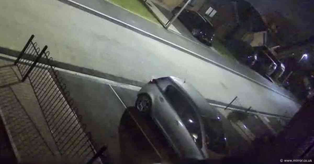 'Ghost of a dog' seen walking through fences and car in spooky CCTV footage