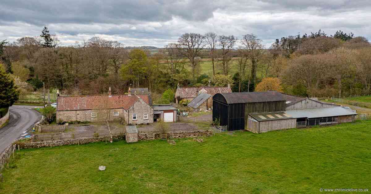 'Opportunity to create dream farm' in Northumberland hits the market