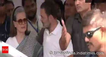 Lok Sabha polls: Congress's Rahul and Sonia Gandhi cast their votes in Delhi