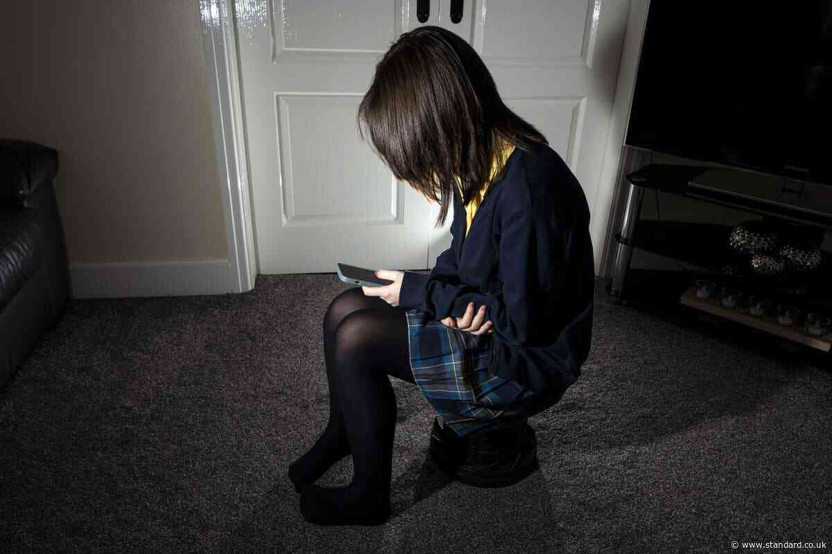 Smartphone ban for under-16s should be considered, MPs suggest
