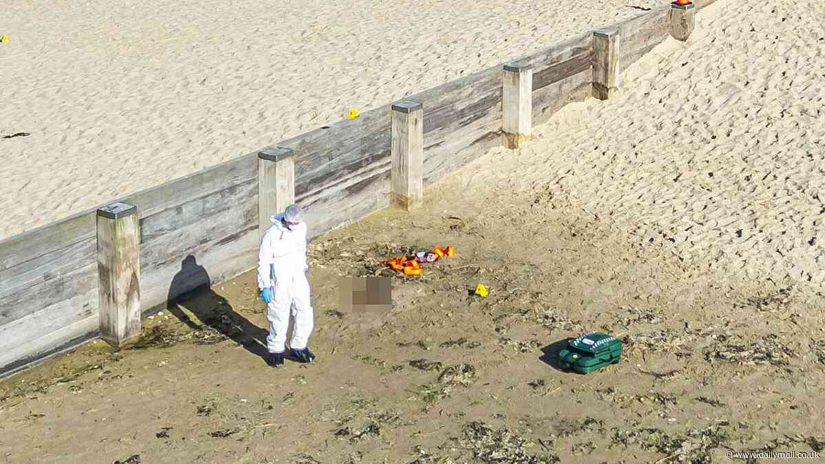 Shock at double stabbing on popular Bournemouth beach that left woman, 34, dead