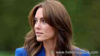 Princess Kate's friends say return to royal duties for Princess is months away - details