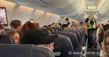 TUI flight diverted after 'drunken' passenger dragged off plane for 'assaulting cabin crew member'