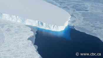 For the first time, there's visual evidence warm sea water is pushing under doomsday glacier: Study