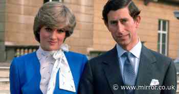 Princess Diana 'wasn't aware of royal machine' before marrying King Charles