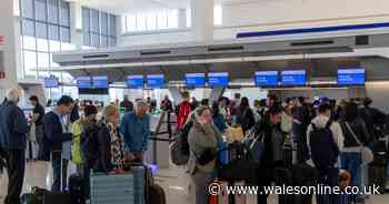 Why you should veer left at the airport - travel expert on how to skip queues