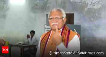Lok Sabha polls: Haryana records 46.26 pc turnout till 3 pm