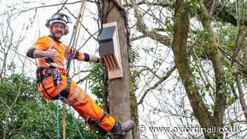 Network Rail improves train travel safety with tree work