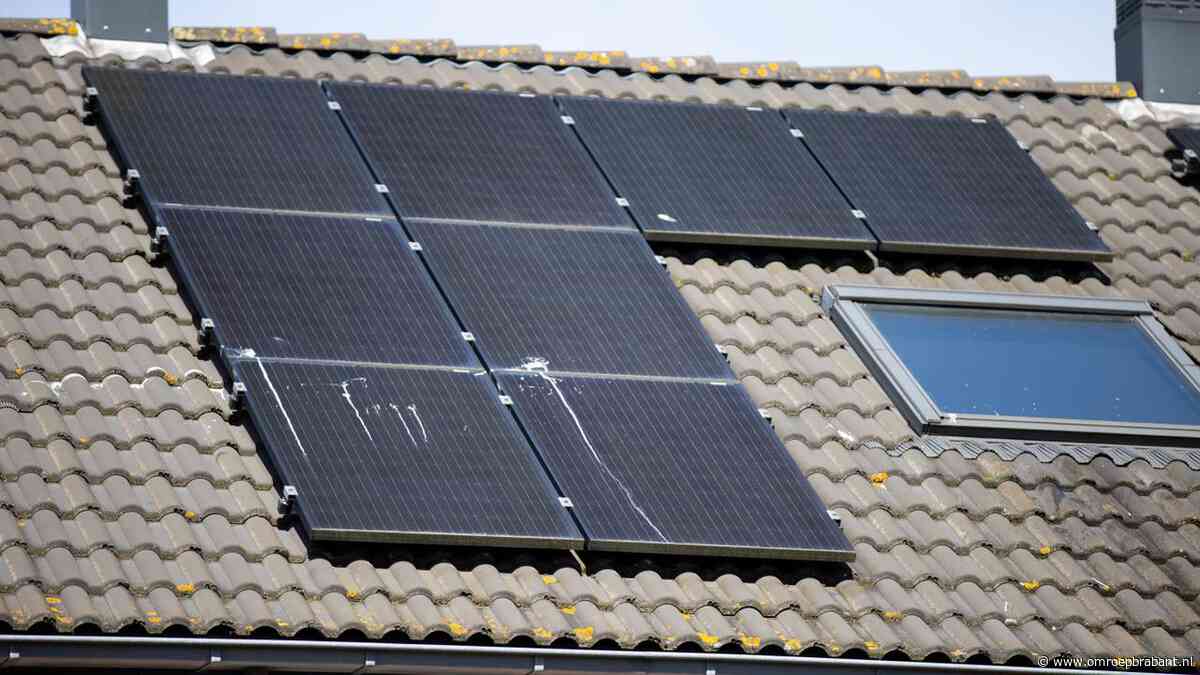 Voor 1,2 miljoen euro aan zonnepanelen gestolen, vier Belgen aangehouden