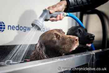 Roker Beach introduces self service dog wash station for mucky pups