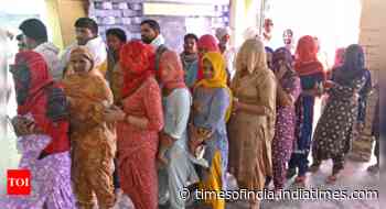 Lok Sabha polls: Haryana records 55.93 pc turnout till 5 pm