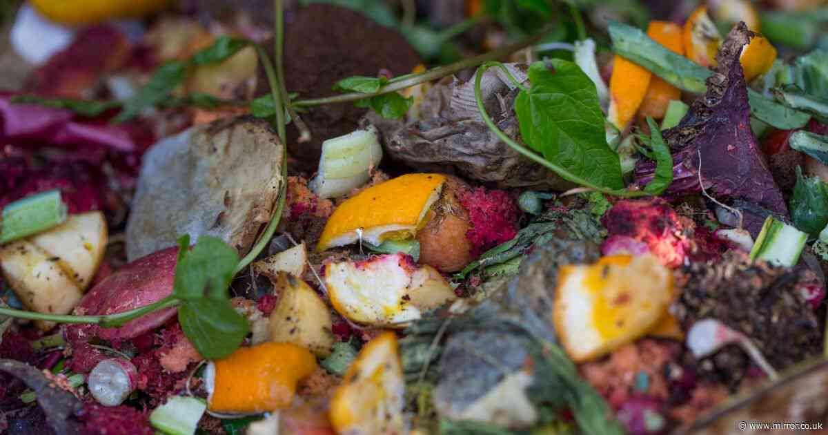 'Brilliant' 19p kitchen scrap item that can make garden plants 'thrive'