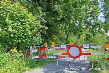 Wandelpad Katteberg in Bilzen afgesloten wegens risico voor omvallende bomen