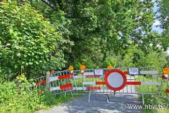 Wandelpad Katteberg in Bilzen afgesloten wegens risico voor omvallende bomen