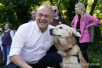 In Pictures: Dogs and ice cream add flavour to election campaign