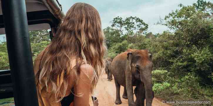 I went on a 2-week safari in South Africa's famous Kruger National Park for just $50 a day