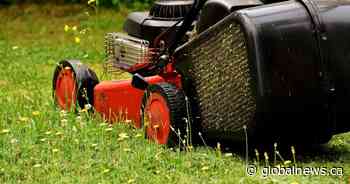 London, Ont. councillor draws back proposed curfew for gas-powered lawn equipment