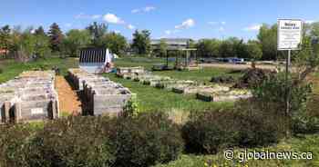 Saskatoon’s Rotary Community Garden raises funds, food for those experiencing homelessness