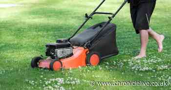 Gardening experts warn of 'worst time' to mow your lawn that can kill your grass