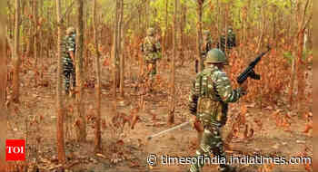 3 Maoists killed in 2 encounters, Chhattisgarh tally 11 in last 3 days