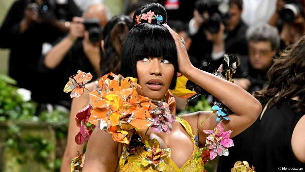 Nicki Minaj Livestreams Arrest By Dutch National Police, Later Released