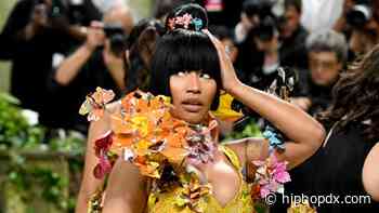 Nicki Minaj Livestreams Arrest By Dutch National Police, Later Released