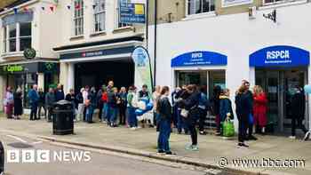Hundreds visit animal charity shop on opening day