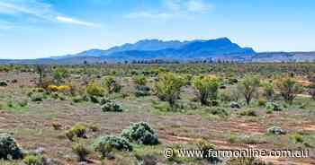 Two farms near Flinders Ranges offer a second chance to buyers