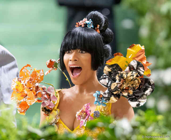 Nicki Minaj Reportedly Arrested & Released In Amsterdam, Barbz On Emotional Roller Coaster