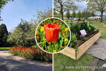 Harrogate is among UK's loveliest towns for floral displays
