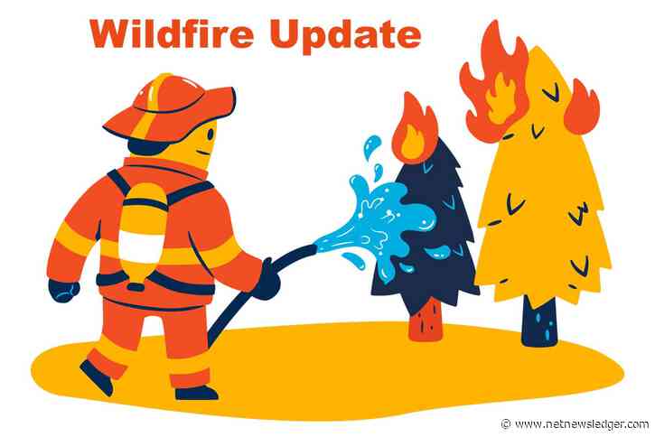 Northeast District Wildfire Report for May 25 2024