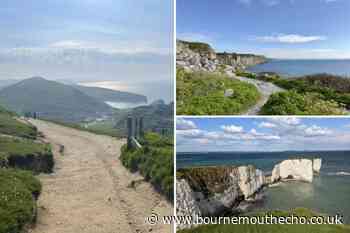 5 of the best coastal circular walks you can enjoy in Dorset