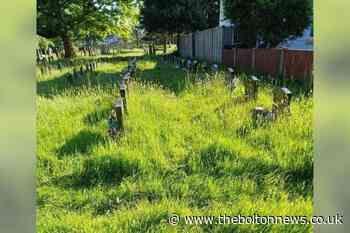 Westhoughton Cemetery: Residents raise concerns about overgrown grass