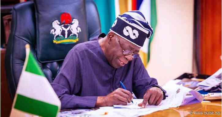 Oronsaye report and Tinubu`s bold step in belling the cat