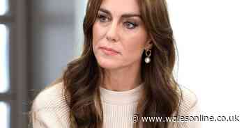 Kate, Princess of Wales, 'may not return to work this year'