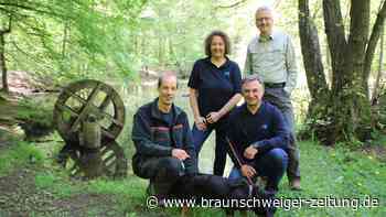 Eine ganz besondere Führung durch den Wolfsburger Stadtwald
