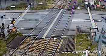 Man almost hit by train after climbing over level crossing barrier