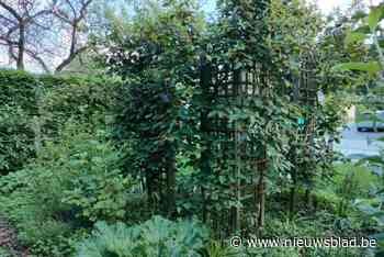 Ontdek vier ecologische Zoerselse tuinen tijdens de Velt-ecotuindagen